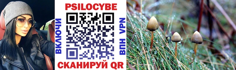 Галлюциногенные грибы мухоморы  Салаир 
