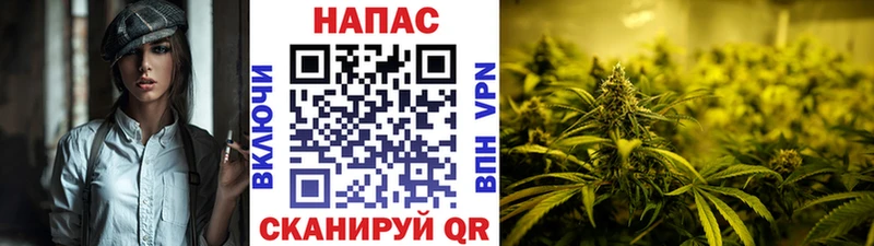 Каннабис план  хочу   blacksprut   Салаир 